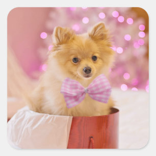 Niedlicher Hund mit Pink Bow Weihnachtsfoto Quadratischer Aufkleber