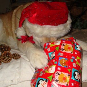 Niedlicher Hund mit rotem Hut für Weihnachten Puzzle