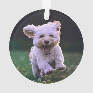 Niedlicher Hund mit weißem Löffel Ornament