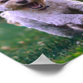 Niedlicher Hund mit weißem Löffel Poster (Ecke)