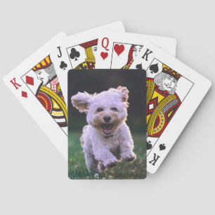 Niedlicher Hund mit weißem Löffel Spielkarten