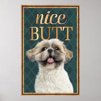 Niedlicher Hund Nice Hintern Bad Poster