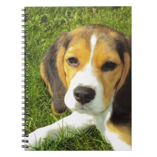 Niedlicher Hund Notizblock (Vorderseite)