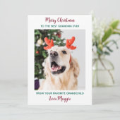 Niedlicher Hund Oma Personalisiert Weihnachten Hau (Stehend Vorderseite)