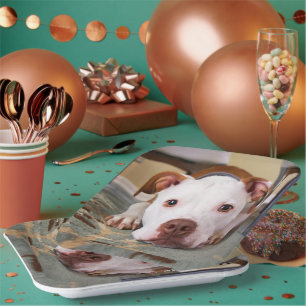 Niedlicher Hund Pappteller