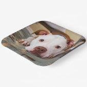 Niedlicher Hund Pappteller (Gewinkelt)