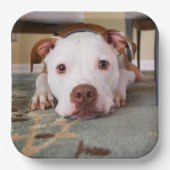 Niedlicher Hund Pappteller (Vorderseite)