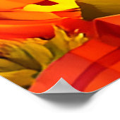 Niedlicher Hund Poster (Ecke)