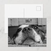 Niedlicher Hund Postkarte (Vorne/Hinten)