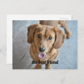 Niedlicher Hund Postkarte (Vorne/Hinten)