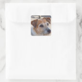 Niedlicher Hund Quadratischer Aufkleber (Tasche)