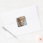 Niedlicher Hund Quadratischer Aufkleber (Umschlag)