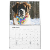 Niedlicher Hund Rasse Saint Bernard Welpenkalender Kalender (Jan 2027)