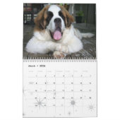 Niedlicher Hund Rasse Saint Bernard Welpenkalender Kalender (Mär 2026)