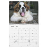 Niedlicher Hund Rasse Saint Bernard Welpenkalender Kalender (Mär 2027)