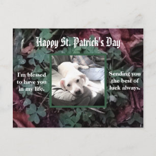 Niedlicher Hund sitzt mit Vater sein bester Freund Postkarte