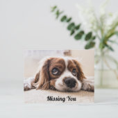 Niedlicher Hund/Spaniel Sad Eyes Foto Vermisst Postkarte (Stehend Vorderseite)