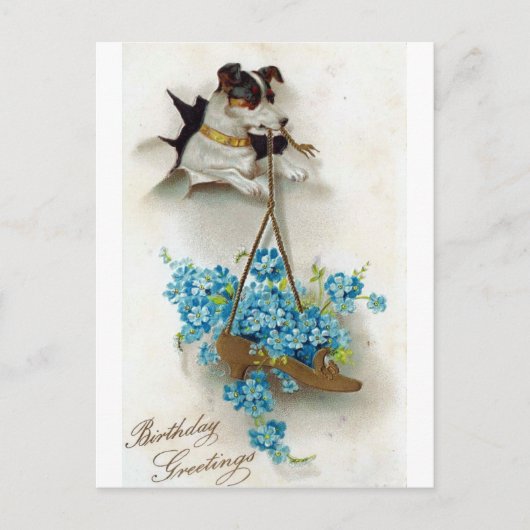 Niedlicher Hund und Schuhe Geburtstagsgrüße Postkarte (Vorderseite)