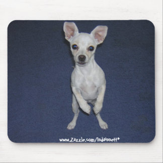 Niedlicher Hund Up-Mousepad. Mousepad