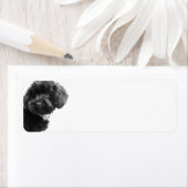 Niedlicher Hund Welpe Schwarz/Weiß Fotografie (Insitu)