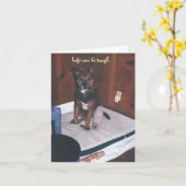 Niedlicher Hund wird gut/gebrochen Karte (Gelbe Blume)