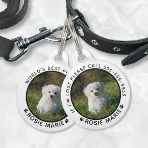 Niedlicher Hunde Foto Name Paw Prints Personalisie Haustiermarke