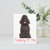 Niedlicher Hunde Liebe Schwarzes Poodle Denken Sie Postkarte (Stehend Vorderseite)