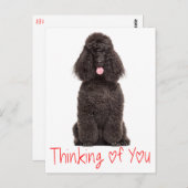 Niedlicher Hunde Liebe Schwarzes Poodle Denken Sie Postkarte (Vorne/Hinten)