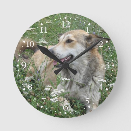 Niedlicher Hundegrünes Gras Clockface 1 Runde Wanduhr (Vorderseite)