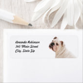 Niedlicher Hundehund (Insitu)