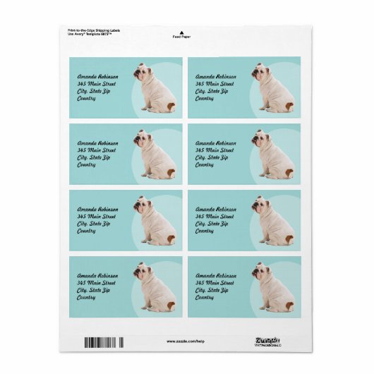 Niedlicher Hundehund (Vorne)