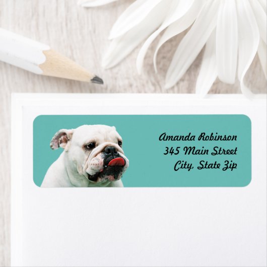 Niedlicher Hundehund (Insitu)