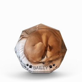 Niedlicher Hundehund Foto Name Pawprints Gemstone