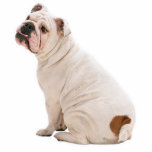 Niedlicher Hundehund Fotoskulptur Schlüsselanhänger<br><div class="desc">Schlüsselkette für Bulldog-Fotoskulptur</div>