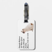 Niedlicher Hundehund Gepäckanhänger (Rückseite vertikal)