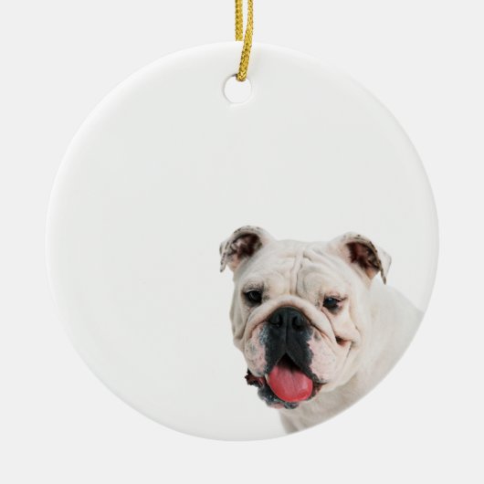 Niedlicher Hundehund Keramik Ornament (Vorne)