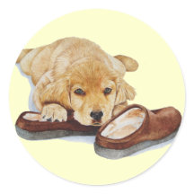 niedlicher Hundehund mit Goldhündchen