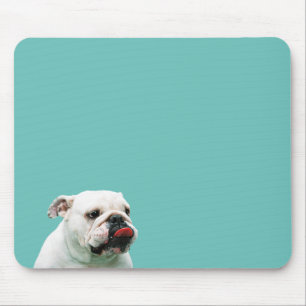 Niedlicher Hundehund Mousepad
