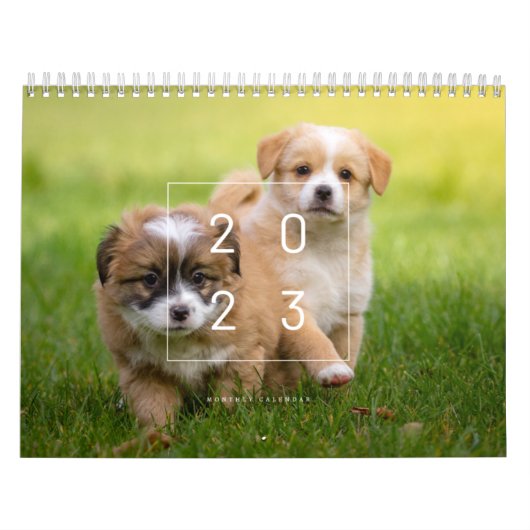 Niedlicher Hundekalender 2023 Kalender (Titelbild)