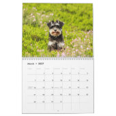 Niedlicher Hundekalender 2023 Kalender (Mär 2027)