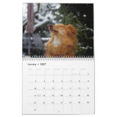 Niedlicher Hundekalender 2023 Kalender (Jan 2027)