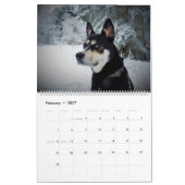 Niedlicher Hundekalender Kalender (Feb 2027)