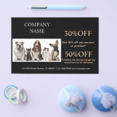 Niedlicher Hundekatzen-Sitzer Haustierzüchter Flyer (Einzeln)