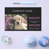 Niedlicher Hundekatzen-Sitzer Haustierzüchter Flyer (Einzeln)