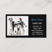 Niedlicher Hundekatzen-Sitzer Haustierzüchter Visitenkarte (Vorderseite)