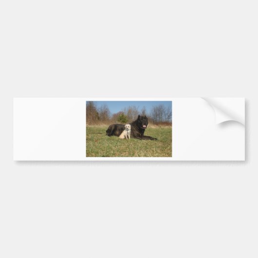 Niedlicher Hundekuh Autoaufkleber (Vorne)