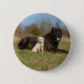 Niedlicher Hundekuh Button (Vorderseite)