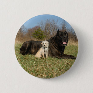 Niedlicher Hundekuh Button