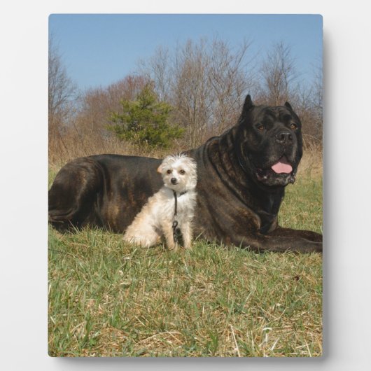 Niedlicher Hundekuh Fotoplatte (Vorderseite)