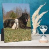 Niedlicher Hundekuh Fotoplatte (Seite)